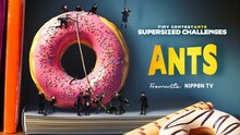 ニューヨークMC番組「ANTS」がヨーロッパの国際テレビ賞「ローズ・ドール賞」を獲得、最優秀コメディに選ばれる