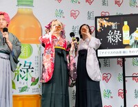 綠を味わうエルフ