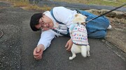 犬と戯れるタイムマシーン3号・関