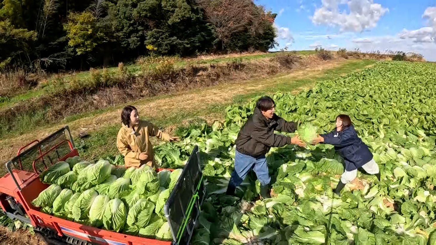 ロッチコカドが知多半島で野菜収穫　オリジナル絶品鍋を堪能