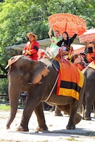 象に乗る東野幸治ら