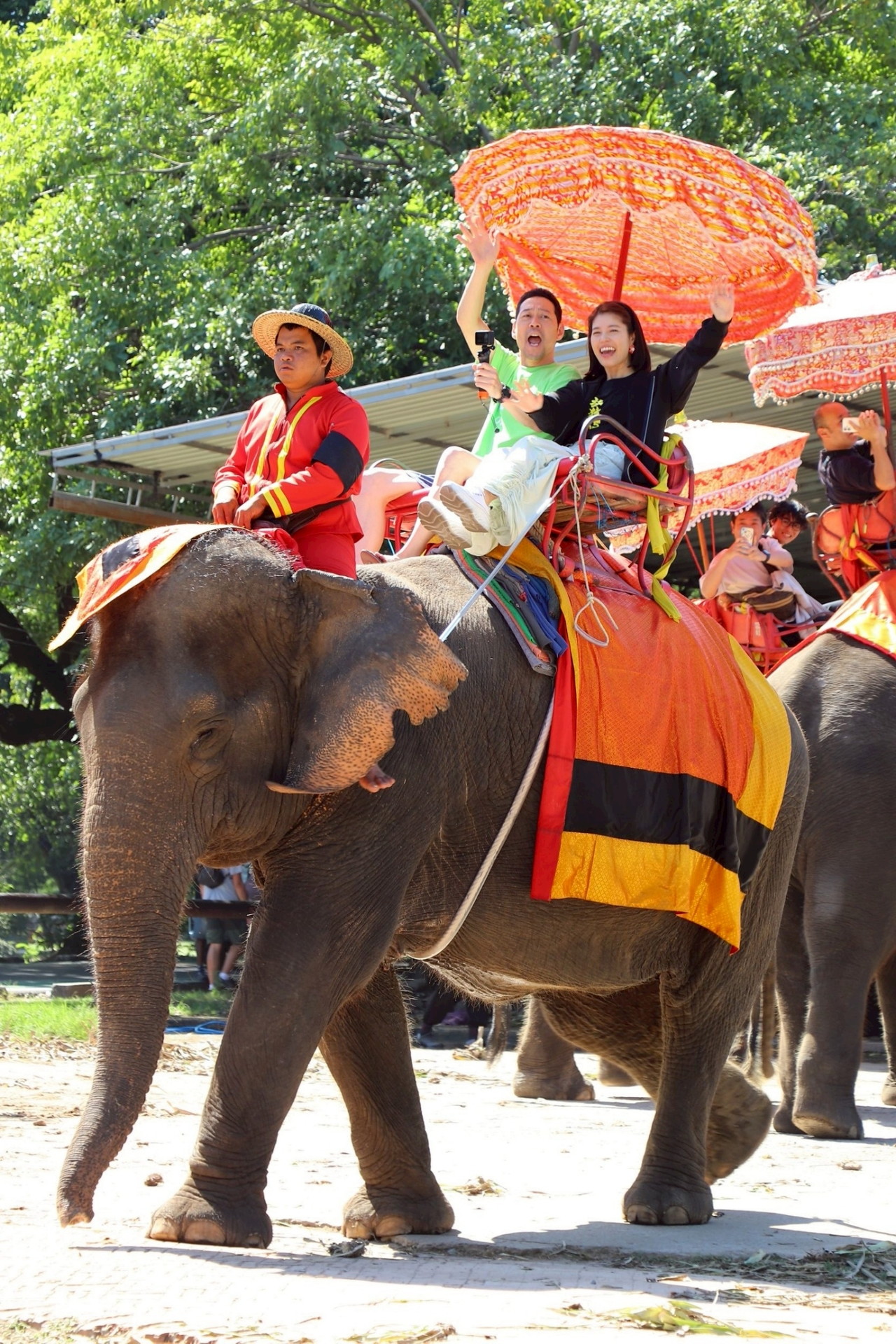 象に乗る東野幸治ら