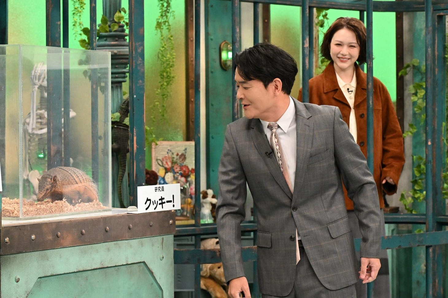 千鳥ノブとアルマジロのクッキー！（野性爆弾くっきー！）