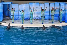 真空ジェシカがイルカに圧勝されたイベント、再配信決定