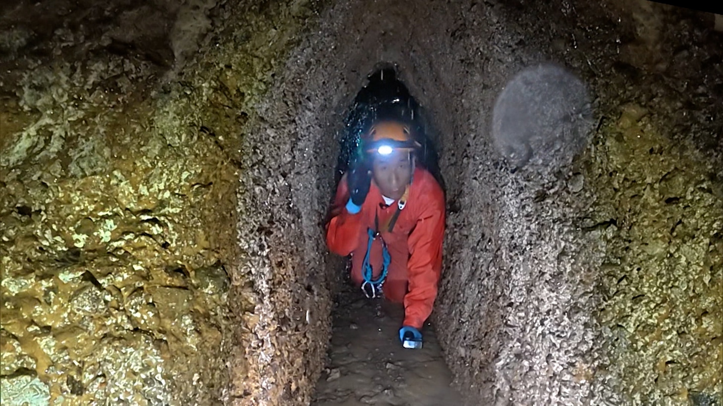 「探偵！ナイトスクープ」のワンシーン