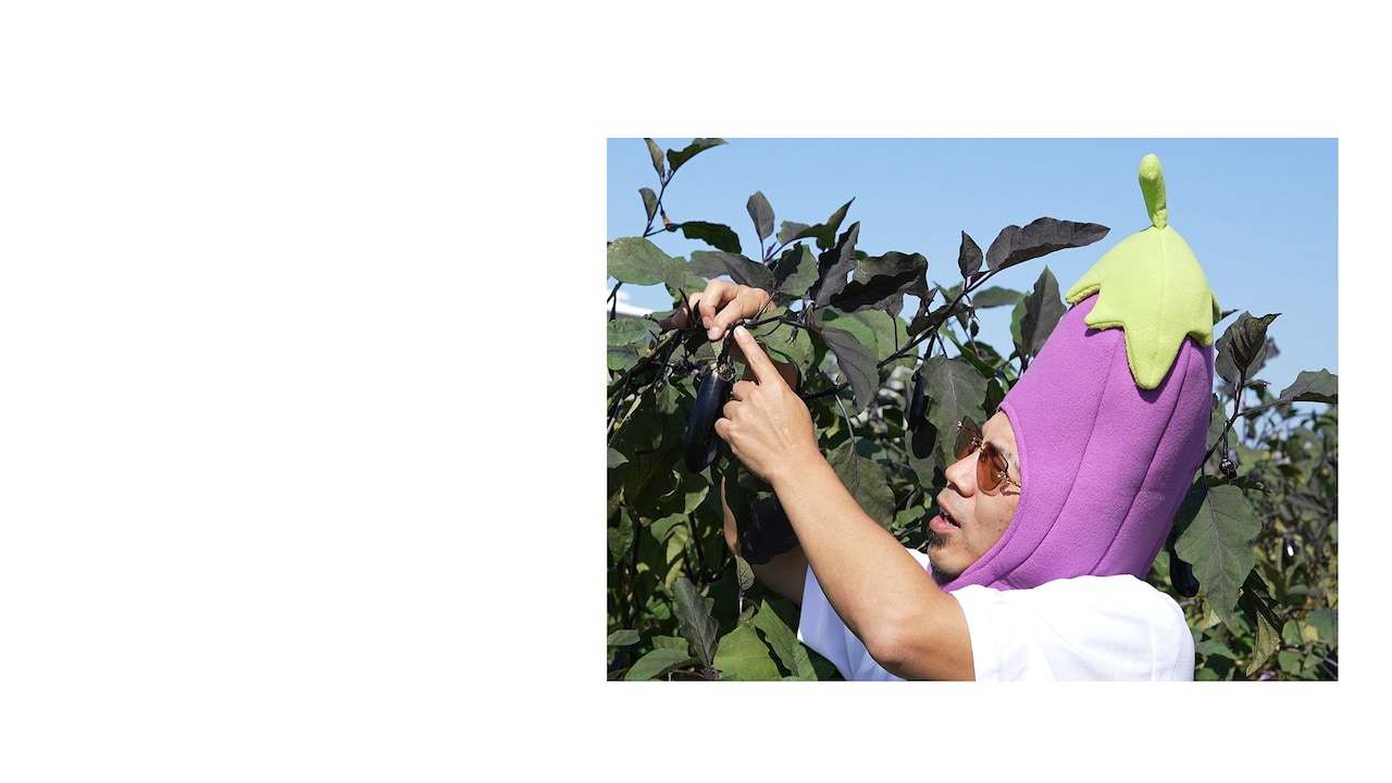 本物のナスビの被り物 天竺鼠 本物のナスビの被り物 | 天竺川原