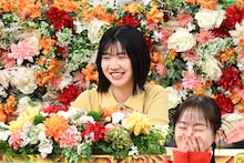 笑福亭鶴瓶MC「ザ！世界仰天ニュース」に新レギュラー加入、明日の放送で発表