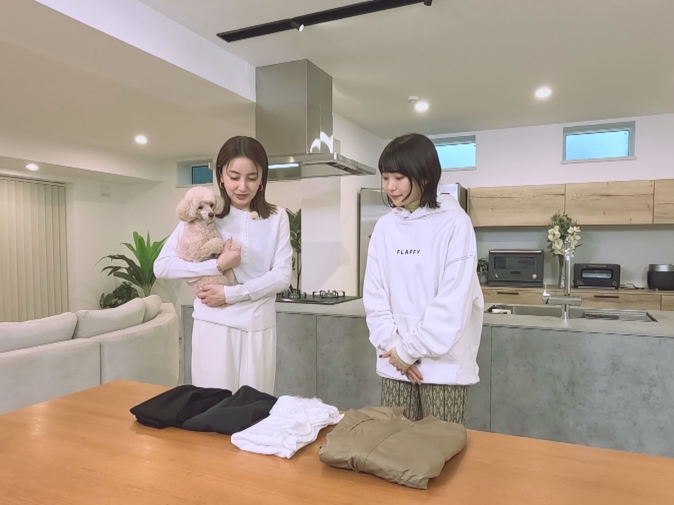 「動物さまの言うとおり アニマルお仕事大図鑑SP」のワンシーン