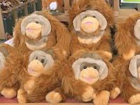 「動物さまの言うとおり アニマルお仕事大図鑑SP」のワンシーン