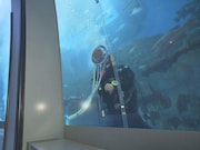 「動物さまの言うとおり アニマルお仕事大図鑑SP」のワンシーン