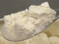 「動物さまの言うとおり アニマルお仕事大図鑑SP」のワンシーン