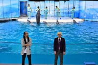 新江ノ島水族館にて、真空ジェシカ