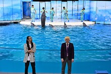 新江ノ島水族館にて、真空ジェシカ