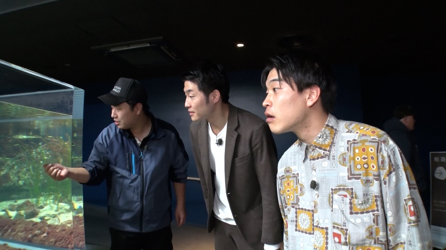 釈迦虎のロケの様子