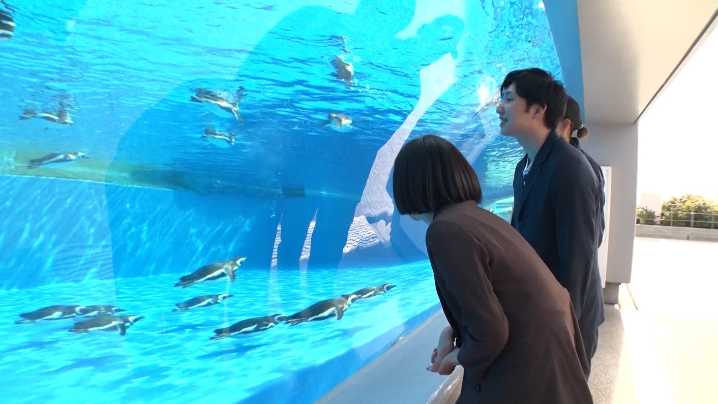 あんよの日のロケの様子