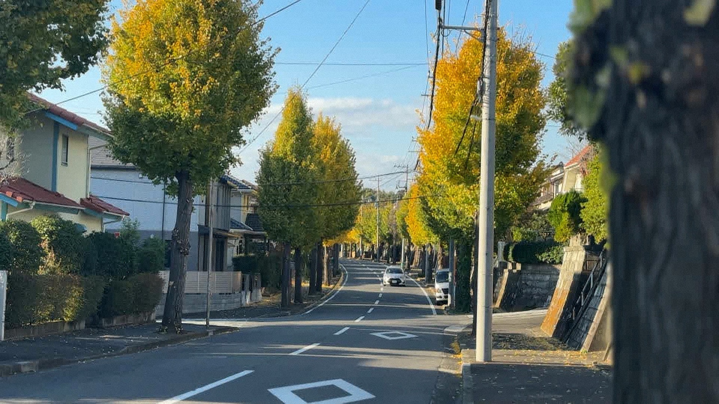 「出没！アド街ック天国」たまプラーザ編より
