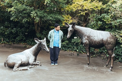 令和ロマン・ケムリ著「ナマケモノの朝は、午後からはじまる。」掲載カット