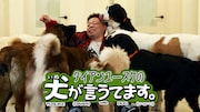 「ダイアンユースケの犬が言うてます。」キービジュアル