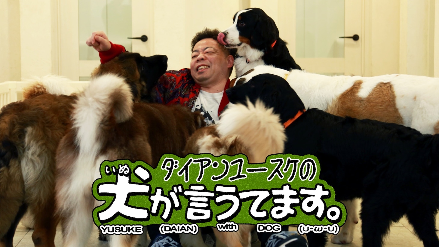 「ダイアンユースケの犬が言うてます。」キービジュアル