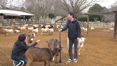 「囲碁将棋の夢はなんでも知っている」のワンシーン