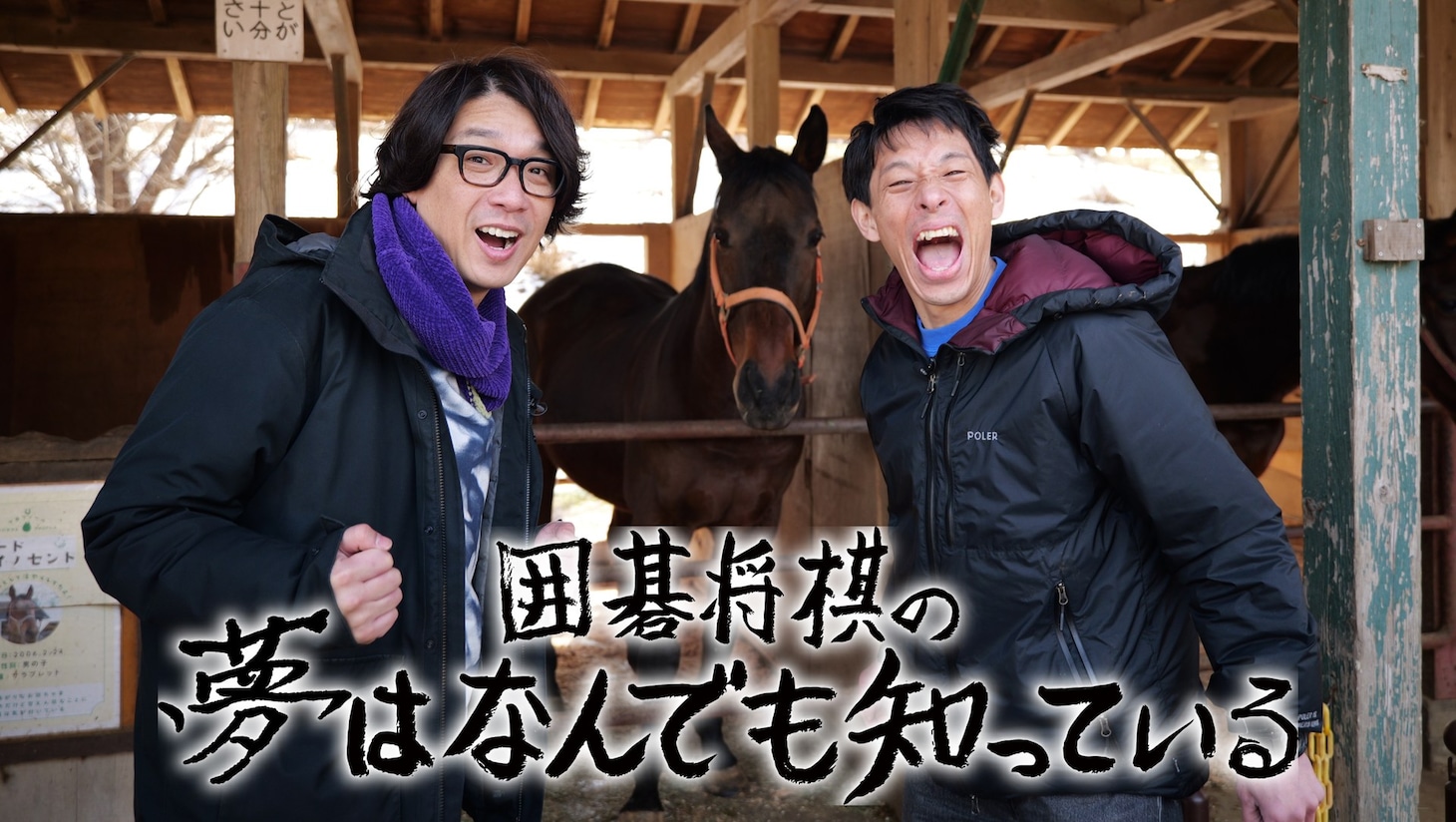 「囲碁将棋の夢はなんでも知っている」キービジュアル