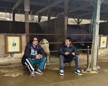 「囲碁将棋の夢はなんでも知っている」のワンシーン