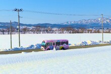 バナナマン日村運転「ひむバス」が新潟県関川村「七ヶ谷雪ほたる」まで臨時運行！雪像作りも