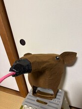 ベルナルド・ハギノリザードマンが制作したアリクイの被り物