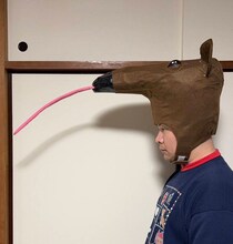 ベルナルド・ハギノリザードマンが制作したアリクイの被り物。制作中の様子