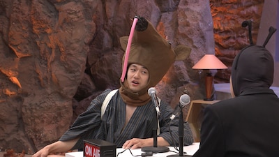 アリクイに扮するマッハスピード豪速球・ガン太