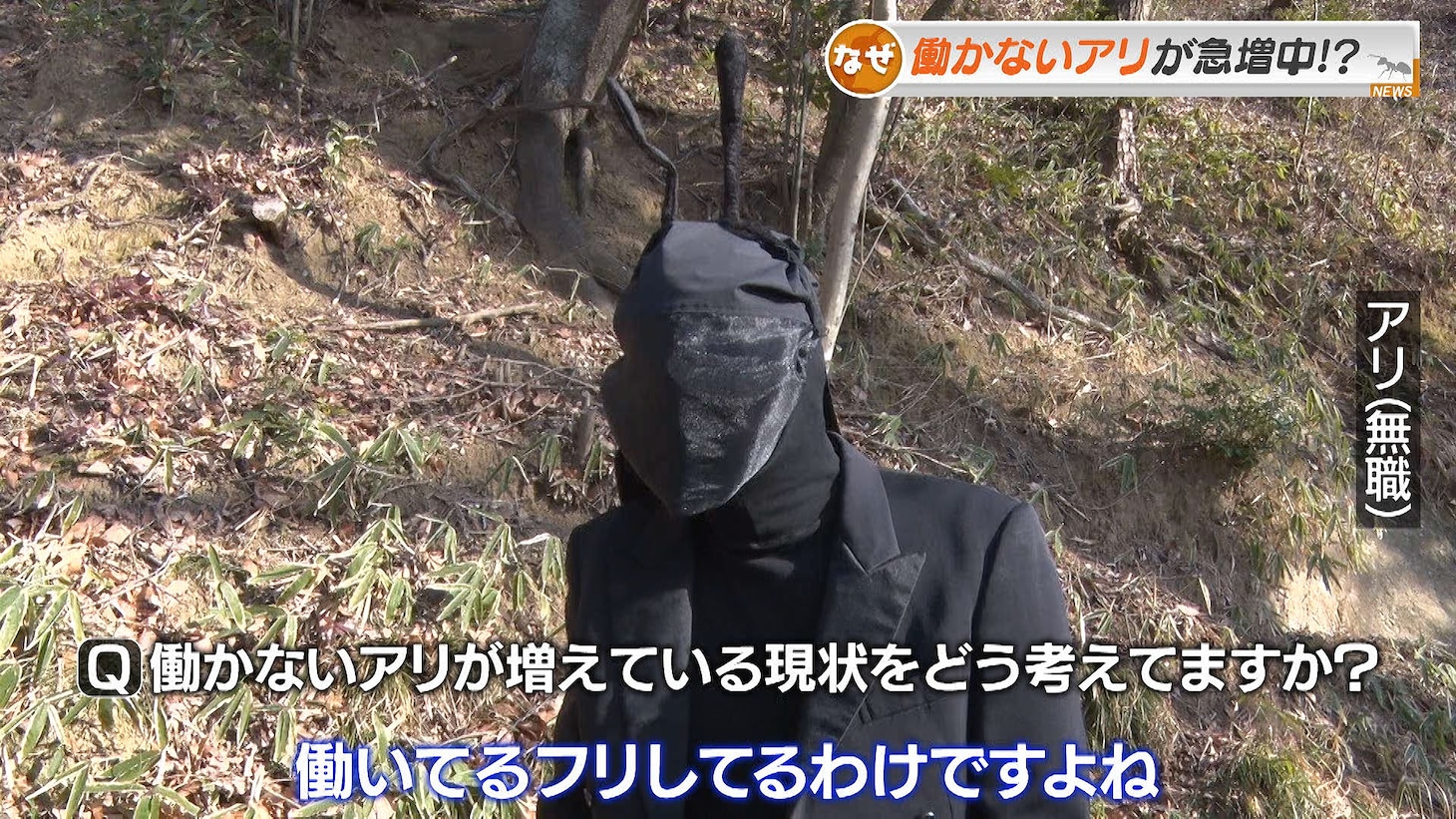 「アリフォルニア」第1話「堕落」より