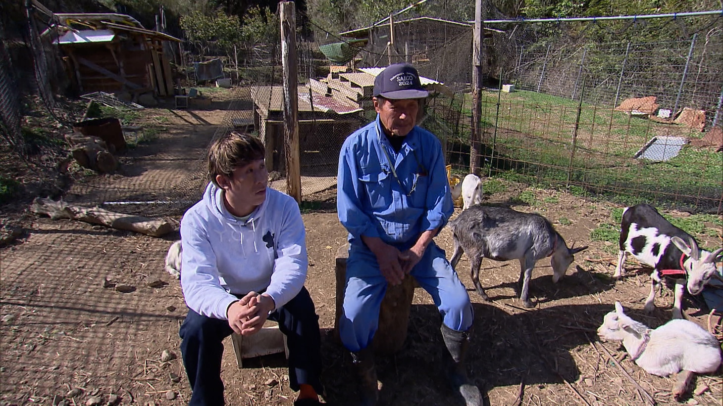 麒麟・田村探偵の調査の様子