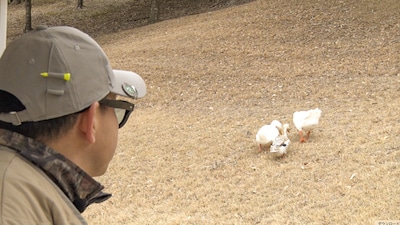 「ニューヨーク屋敷のゴルフ交友録」のワンシーン