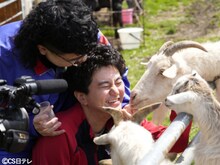 カナメストーン初冠特番が放送決定、2人ぼっちのガチキャンプ　零士は「SEASONS」で泣く