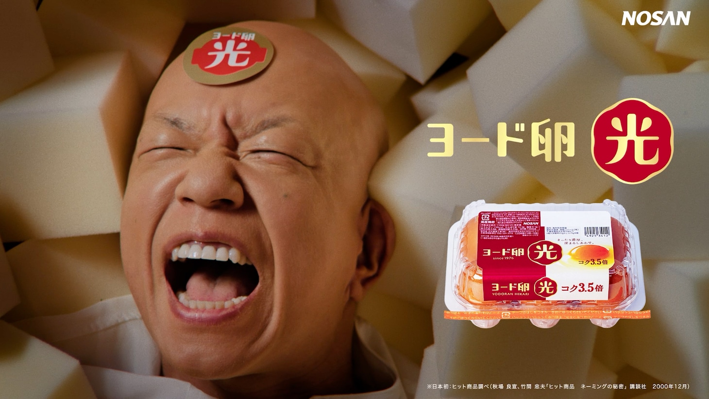 「ヨード卵・光 ストレートトーク」編のワンシーン