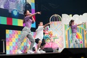 「踊りたくない芸人」のすゑひろがりず三島