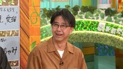 「明石家電視台」にゲスト出演するおぎやはぎ矢作