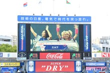 エルフが横浜スタジアム登場「ベイスターズしか勝たん！」荒川はピンクのボールにギャル魂込め投球