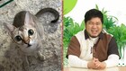 令和ロマン・ケムリがネココメンテーター、愛猫イトのほっこりエピソード披露