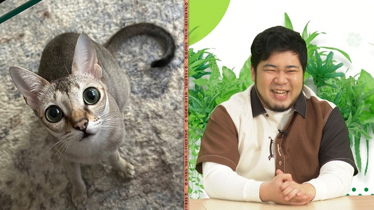 令和ロマン・ケムリと愛猫イト