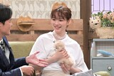 スコティッシュフォールドとのん