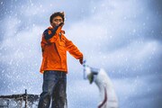 「ごぶごぶフェスティバル2026」DAY2より、浜田雅功（撮影：渡邉一生）