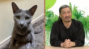 パンサー菅、3匹の愛猫にパンサーと深い関わり　さらば青春の光・森田と猫トーク