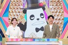 EXIT、コットン、マユリカら「即決二択クイズ!! イダテン」でハイスピードなクイズ対決