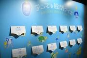「オマターランド ～自分の股間と向き合ってみよう展～」より、「アニマル股間クイズ」