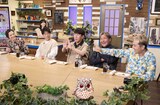 左から、土屋アンナ、陣内智則、FUJIWARA藤本、スリムクラブ