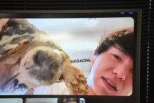 芸人たちのペットがカードになって対決、マヂラブ村上の愛犬・くむくんは怯えて活躍できず