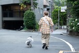 どんぐりたけし、ぽぬのせき