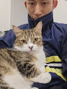 猫と暮らすどんぐりたけし