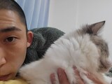 猫と暮らすどんぐりたけし